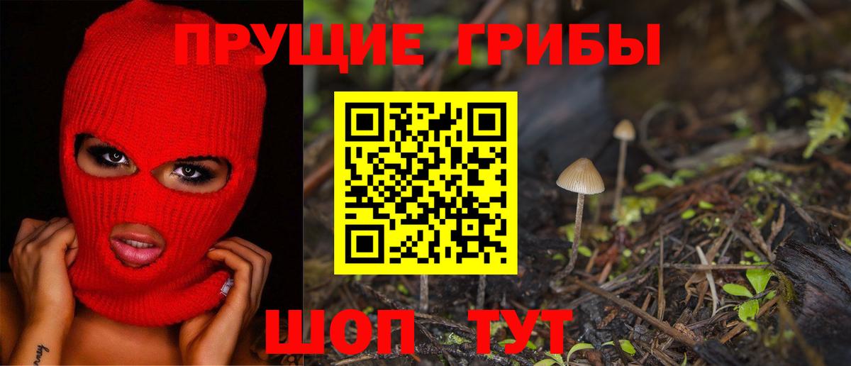 Северодвинск  Галлюциногенные грибы GOLDEN TEACHER  Галлюциногенные грибы мухоморы  Вход с VPN 